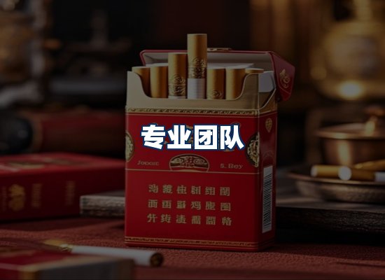 专业团队